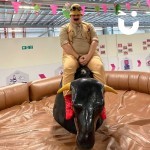 Rodeo Bull Hire at a filming event with a man dressed as an explorer