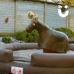 Rodeo Donkey set up outside at a Christmas event