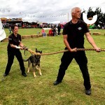 A team and their dog get ready to start an epic battle of Tug of War amidst a company family fun day event