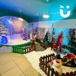 Winter Wonderland Entertainment Package